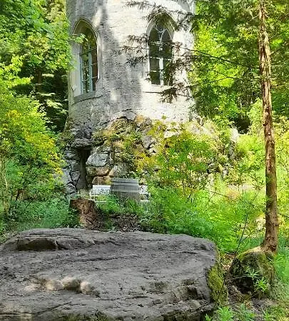 Rapunzel Trifft Dornroeschen