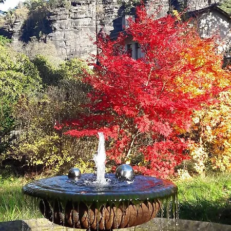 Rapunzel Trifft Dornroeschen *