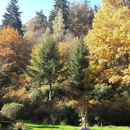 Rapunzel Trifft Dornroeschen