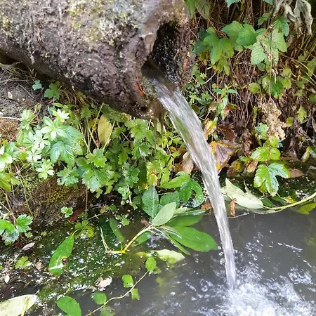 펜션 Rapunzel Trifft Dornroeschen *