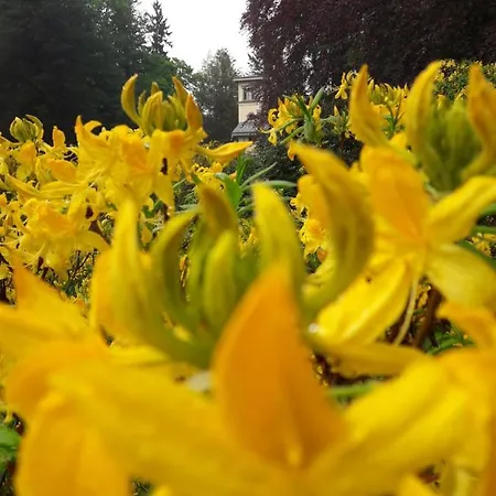 Rapunzel Trifft Dornroeschen Hébergement de vacances