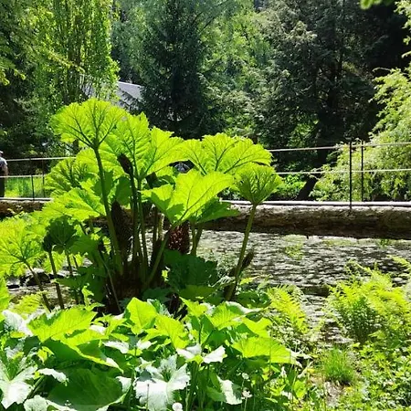 Rapunzel Trifft Dornroeschen Hébergement de vacances *