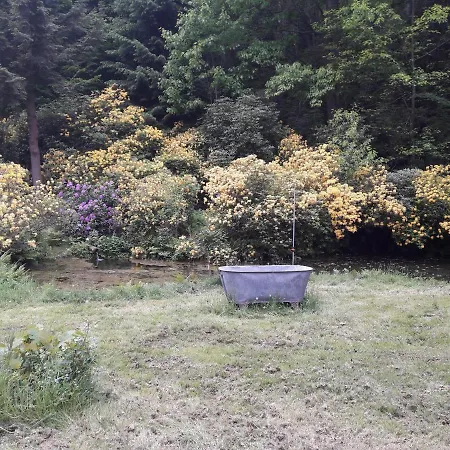 Rapunzel Trifft Dornroeschen Rosenthal-Bielatal