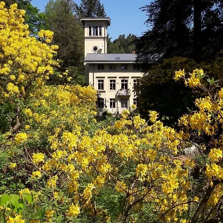 Rapunzel Trifft Dornroeschen *