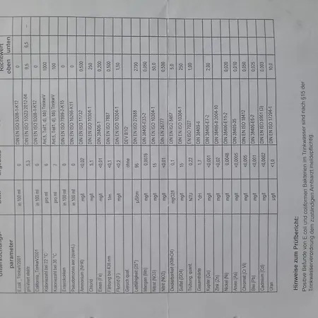 Rapunzel Trifft Dornroeschen *